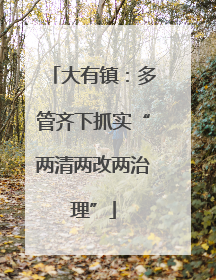 大有镇：多管齐下抓实“两清两改两治理”