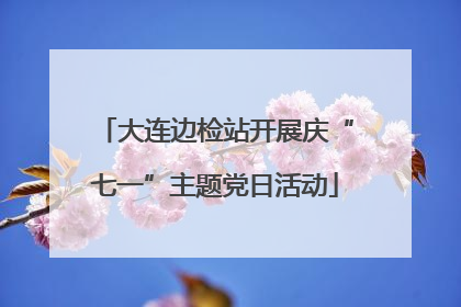 大连边检站开展庆“七一”主题党日活动