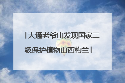 大通老爷山发现国家二级保护植物山西杓兰