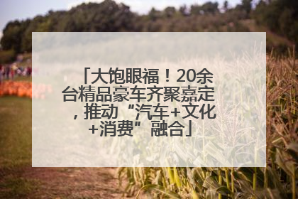 大饱眼福！20余台精品豪车齐聚嘉定，推动“汽车+文化+消费”融合