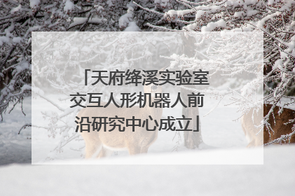 天府绛溪实验室交互人形机器人前沿研究中心成立