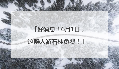 好消息！6月1日，这群人游石林免费！
