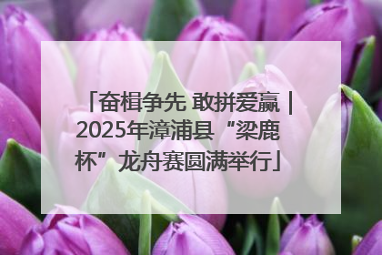 奋楫争先 敢拼爱赢｜2025年漳浦县“梁鹿杯”龙舟赛圆满举行