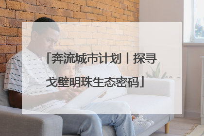 奔流城市计划丨探寻戈壁明珠生态密码