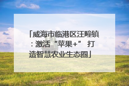 威海市临港区汪疃镇：激活“苹果+” 打造智慧农业生态圈