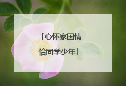 心怀家国情 恰同学少年