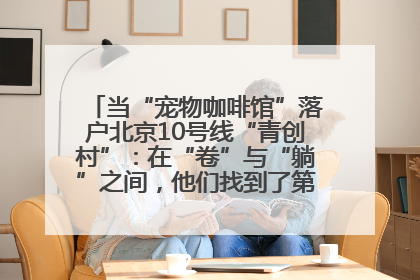 当“宠物咖啡馆”落户北京10号线“青创村”：在“卷”与“躺”之间，他们找到了第三种生活公式
