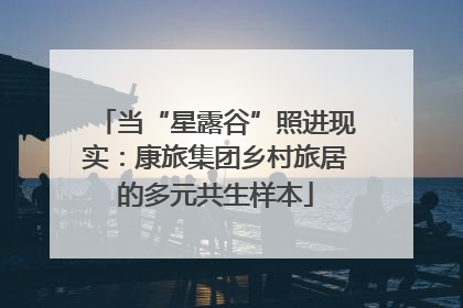当“星露谷”照进现实：康旅集团乡村旅居的多元共生样本