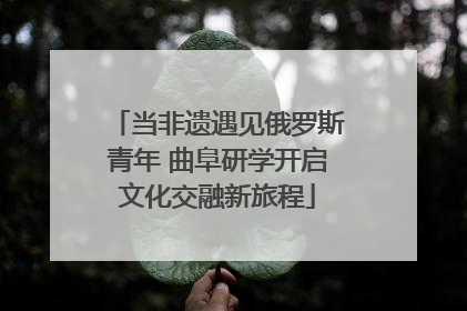 当非遗遇见俄罗斯青年 曲阜研学开启文化交融新旅程