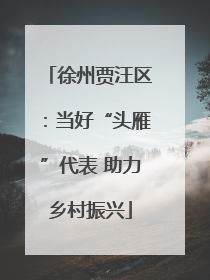 徐州贾汪区：当好“头雁”代表 助力乡村振兴