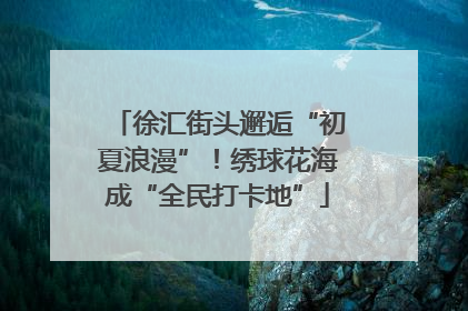 徐汇街头邂逅“初夏浪漫”！绣球花海成“全民打卡地”