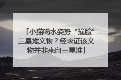 小猫喝水姿势“撞脸”三星堆文物？经求证该文物并非来自三星堆