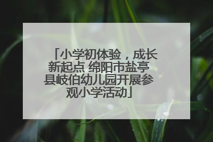 小学初体验，成长新起点 绵阳市盐亭县岐伯幼儿园开展参观小学活动