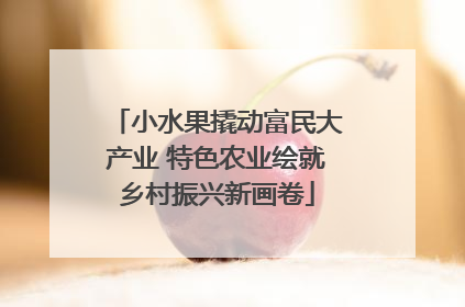 小水果撬动富民大产业 特色农业绘就乡村振兴新画卷