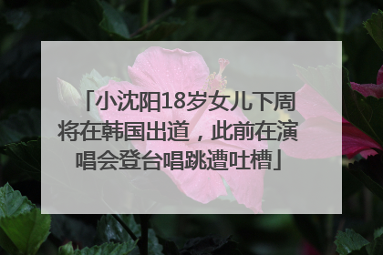 小沈阳18岁女儿下周将在韩国出道，此前在演唱会登台唱跳遭吐槽