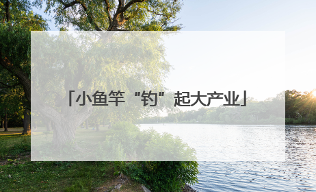 小鱼竿“钓”起大产业