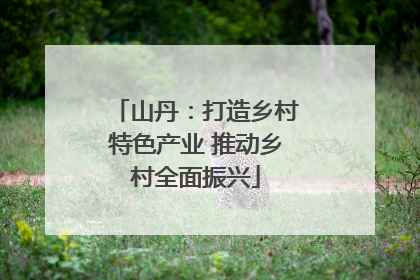 山丹：打造乡村特色产业 推动乡村全面振兴