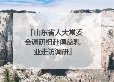 山东省人大常委会调研组赴得益乳业走访调研