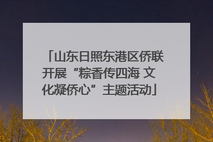 山东日照东港区侨联开展“粽香传四海 文化凝侨心”主题活动