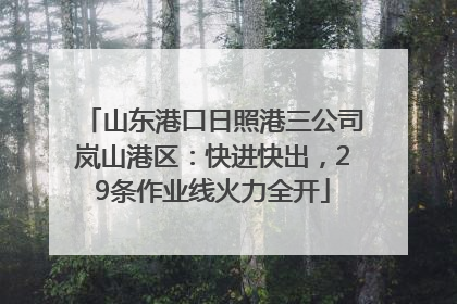 山东港口日照港三公司岚山港区：快进快出，29条作业线火力全开