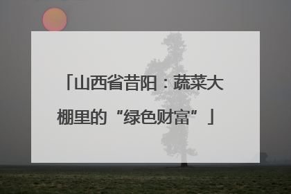 山西省昔阳：蔬菜大棚里的“绿色财富”