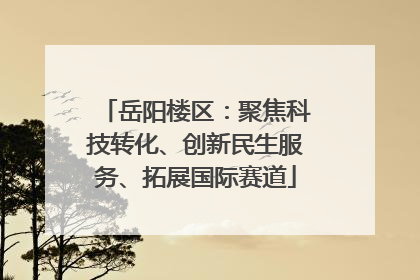 岳阳楼区：聚焦科技转化、创新民生服务、拓展国际赛道