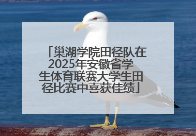 巢湖学院田径队在2025年安徽省学生体育联赛大学生田径比赛中喜获佳绩