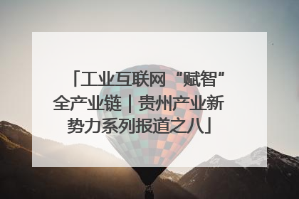 工业互联网“赋智”全产业链｜贵州产业新势力系列报道之八