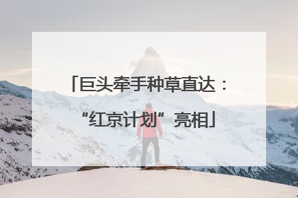 巨头牵手种草直达：“红京计划”亮相
