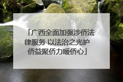 广西全面加强涉侨法律服务 以法治之光护侨益聚侨力暖侨心