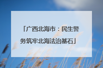 广西北海市：民生警务筑牢北海法治基石