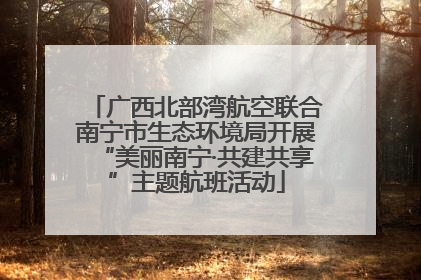 广西北部湾航空联合南宁市生态环境局开展“美丽南宁·共建共享”主题航班活动