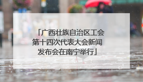 广西壮族自治区工会第十四次代表大会新闻发布会在南宁举行