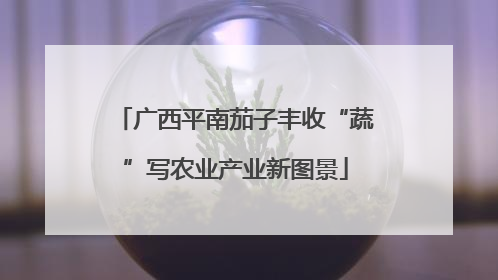 广西平南茄子丰收“蔬”写农业产业新图景