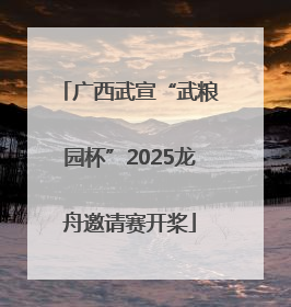广西武宣“武粮园杯”2025龙舟邀请赛开桨