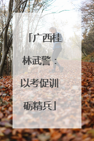 广西桂林武警：以考促训砺精兵