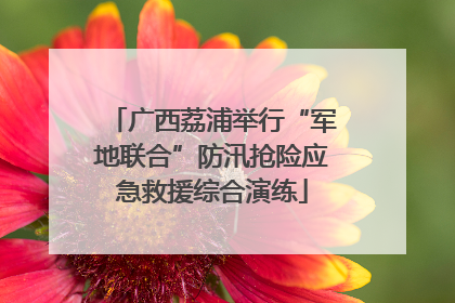 广西荔浦举行“军地联合”防汛抢险应急救援综合演练