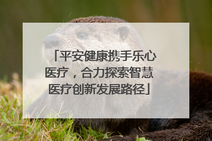 平安健康携手乐心医疗，合力探索智慧医疗创新发展路径