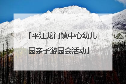 平江龙门镇中心幼儿园亲子游园会活动