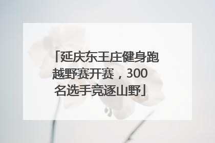 延庆东王庄健身跑越野赛开赛，300名选手竞逐山野