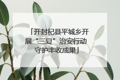 开封杞县平城乡开展“三夏”治安行动 守护丰收成果