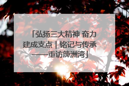 弘扬三大精神 奋力建成支点｜铭记与传承——重访簰洲湾