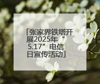 张家界铁塔开展2025年“5.17”电信日宣传活动