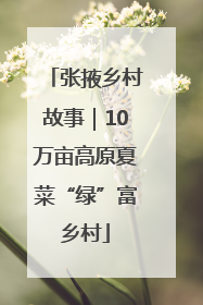 张掖乡村故事｜10万亩高原夏菜“绿”富乡村
