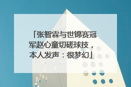张智霖与世锦赛冠军赵心童切磋球技，本人发声：很梦幻
