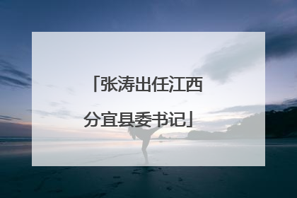 张涛出任江西分宜县委书记