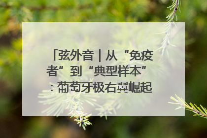 弦外音｜从“免疫者”到“典型样本”：葡萄牙极右翼崛起背后的欧洲困局