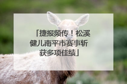 捷报频传！松溪健儿南平市赛事斩获多项佳绩