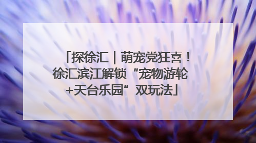 探徐汇｜萌宠党狂喜！徐汇滨江解锁“宠物游轮+天台乐园”双玩法