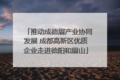 推动成德眉产业协同发展 成都高新区优质企业走进德阳和眉山